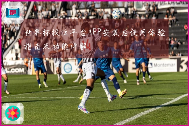 世界杯投注平台APP安装后使用体验指南及功能详解