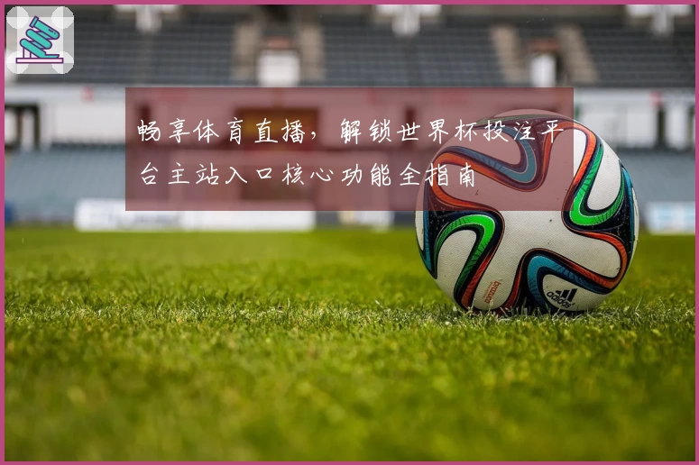 畅享体育直播，解锁世界杯投注平台主站入口核心功能全指南