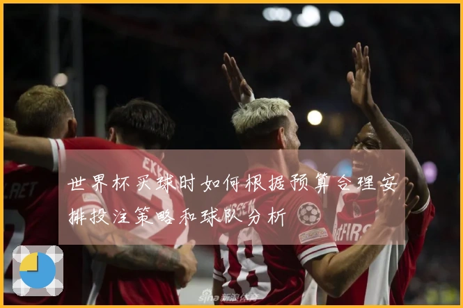 世界杯买球时如何根据预算合理安排投注策略和球队分析