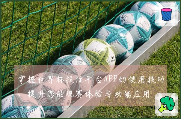掌握世界杯投注平台APP的使用技巧，提升您的观赛体验与功能应用
