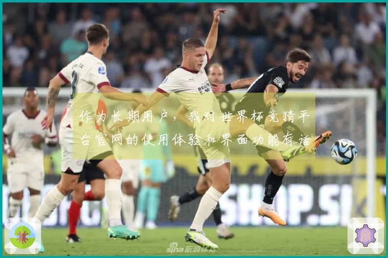 作为长期用户,我对世界杯竞猜平台官网的使用体验和界面功能有话要说