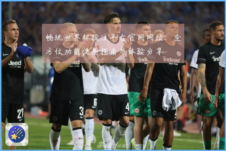 畅玩世界杯投注平台官网网址：全方位功能使用指南与体验分享