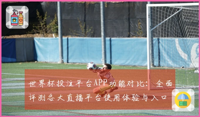 世界杯投注平台APP功能对比：全面评测各大直播平台使用体验与入口指南