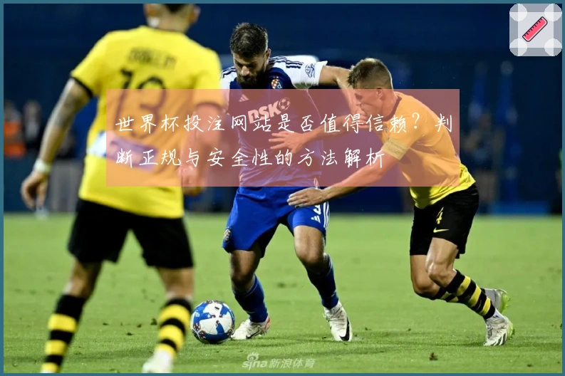 世界杯投注网站是否值得信赖？判断正规与安全性的方法解析