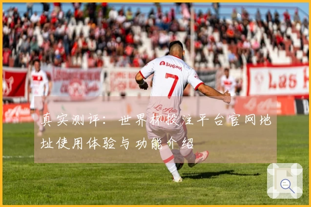真实测评：世界杯投注平台官网地址使用体验与功能介绍