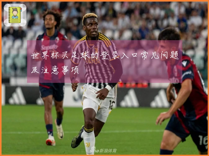 世界杯买足球的登录入口常见问题及注意事项 안내
