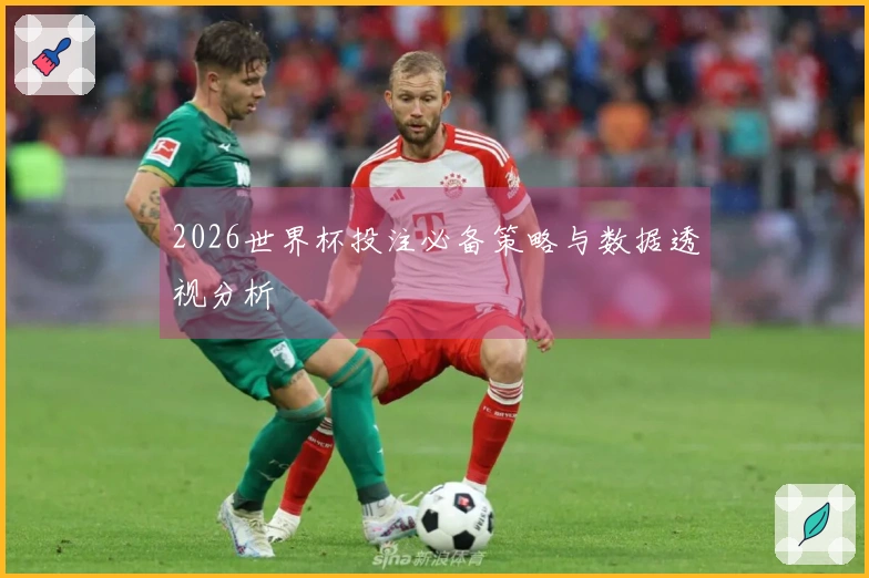 2026世界杯投注必备策略与数据透视分析