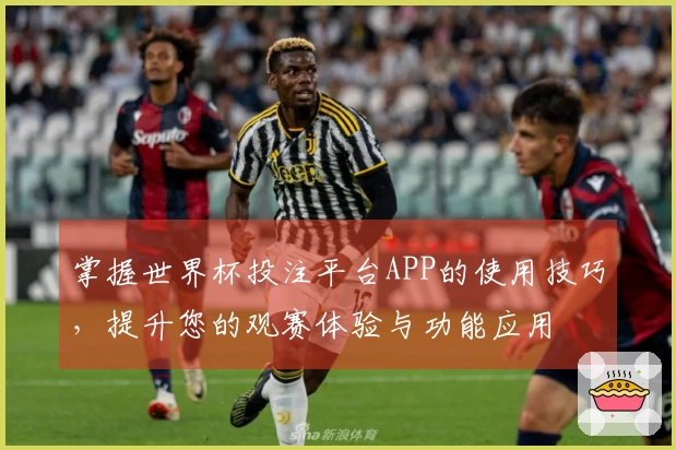 掌握世界杯投注平台APP的使用技巧，提升您的观赛体验与功能应用