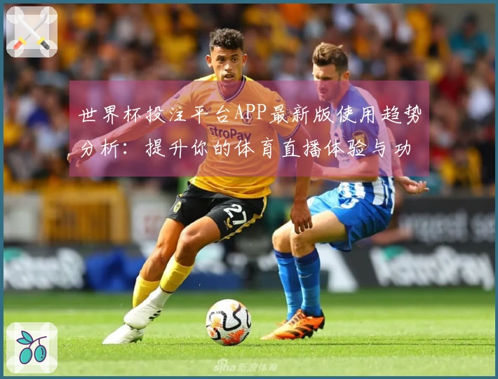 世界杯投注平台APP最新版使用趋势分析：提升你的体育直播体验与功能探索