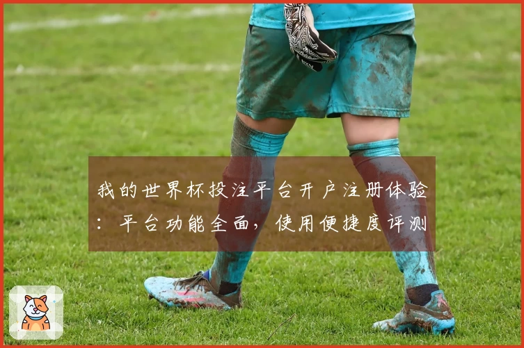 我的世界杯投注平台开户注册体验：平台功能全面，使用便捷度评测